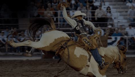 Top Rated PRCA PRO Rodeo in Utah - Ogden Pioneer Days