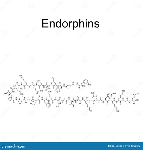 Alpha-endorphin Endogenous Opioid Peptide Molecule. Skeletal Formula ...