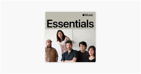 ‎The Magnetic Fields Essentials - Playlist - Apple Music