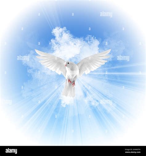 Holy Spirit Ghost Baptism Dove Falling from Sky Clouds Illustration ...