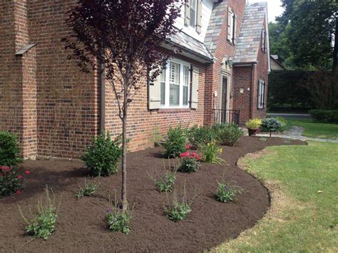 Shade plants for foundation plantings ~ Old shed workshop