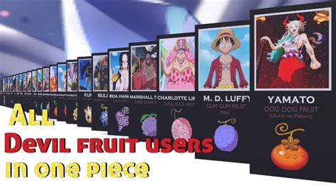 Top Devil Fruit in One Piece || All Shown Devil Fruits Users|| Updated ...