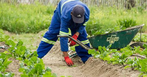 How To Become a Successful Soil Scientist - Degrees&Careers