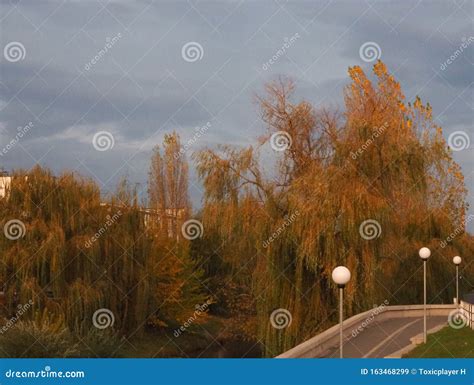 Cibin River Stock Photos - Free & Royalty-Free Stock Photos from Dreamstime