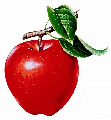 Red Apple Fruit Wallpapers - Wallpaper Cave