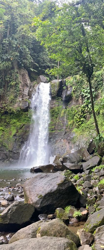 waterfalls in Guadeloupe : r/natureporn