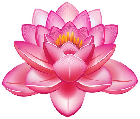 fleur de lotus transparente 14033648 PNG