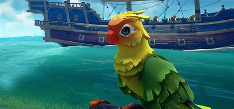 Sea Of Thieves: The Best Parrots, Ranked (Macaws, Parakeets & Cockatoos ...