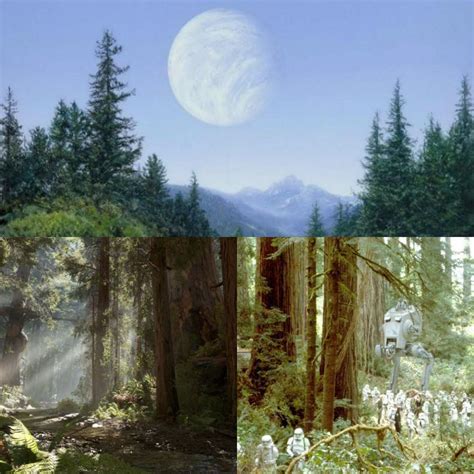 The Forrest Moon of Endor - home of the Ewoks. Strange Magic, Endor ...