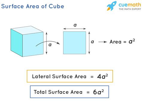 Surface Area of Cube - Formula, TSA of Cube, LSA (CSA) of Cube