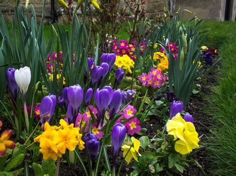 5 Tips for a Better Spring Flower Garden