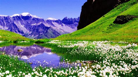 Spring Nature Wallpaper 1920x1080 57002 - Baltana