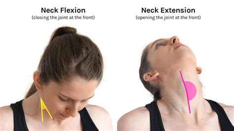 Flexion & Extension: In Detail - Tom Morrison