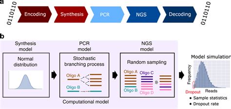 A DNA storage system model a Workflow of DNA data storage. Digital ...