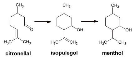 Synthesis of Menthol from Citronellal (Plößer et al., 2016) | Download ...