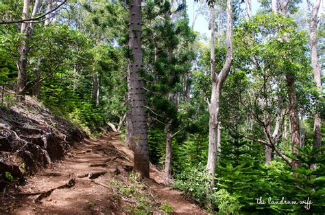 Hiking in Hawaii