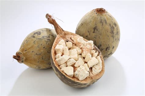 Ingredient Of The Week: Baobab Oil – Made By Coopers