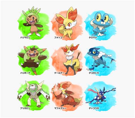 Pokemon Kalos Starters Evolutions, HD Png Download - kindpng