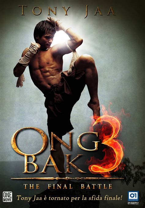 COLEÇÃO DE FILMES TONY JAA (Ong bak, O protetor)