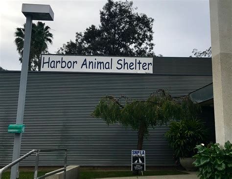 Los Angeles County - Pet Harbor Animal Shelter - Love4RAnimals