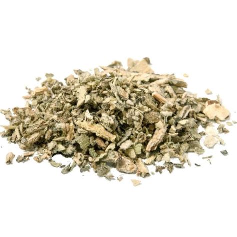 Mullein Leaves - Herbology Herbs