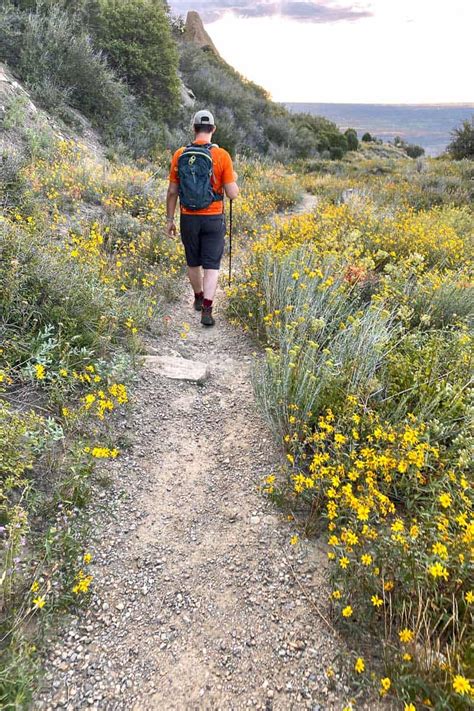 Knife Edge Trail (Mesa Verde, CO) - Champagne Tastes®