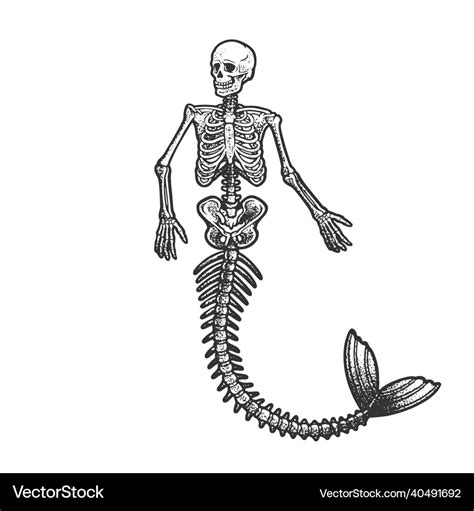 Share more than 74 mermaid skeleton tattoo latest - thtantai2