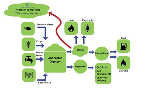 The Environmental & Economic Benefits of Anaerobic Digestion | MV ...