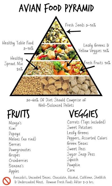 Feed Your Parrot Right. See this infographic on general proportions of ...