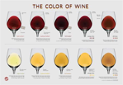 Wine Colour Chart: A Guide to Age and Body