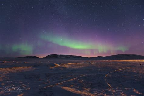 Rare aurora near Earth's North Pole | Today's Image | EarthSky