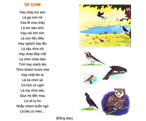 Vè chim - Kho Tài Liệu