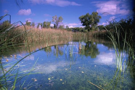 Free picture: swamp, landscape, scenics