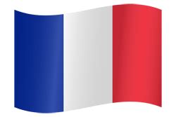 France flag vector - country flags