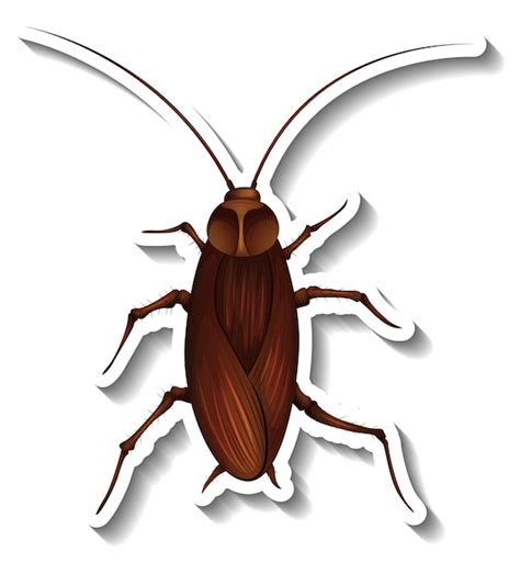 Cockroach Clipart Images - Free Download on Freepik