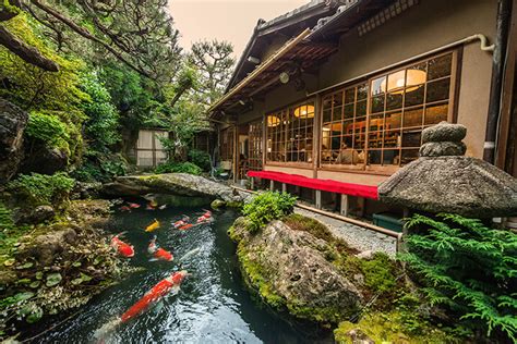 Traditional Japanese Koi Pond in Kyoto Japan - Go Next