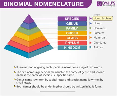 Binomial Nomenclature - Rules of Binomial Nomenclature