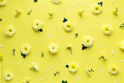 Yellow flower background by Ruth Black - Flower, Background - Stocksy ...