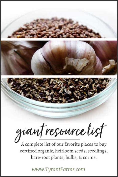 Resources: Where to buy Non-GMO & Organic Seeds, Bulbs, and Plants