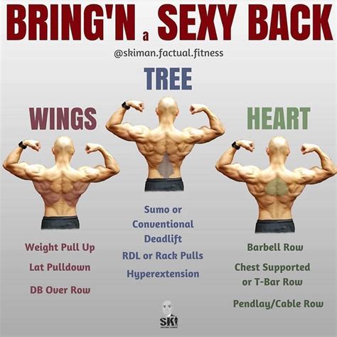 Pin by Jennifer M on Build the Body |||---||| in 2020 | Gym workout ...