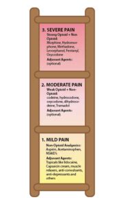 PainLadder for Constant Contact - AW Health Care