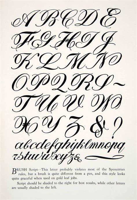 ornate lettering alphabet - - Yahoo Image Search Results | Calligraphy ...