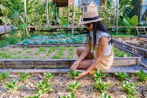 Inexpensive Raised Bed Garden Ideas: Cheap Budget Tips and Techniques