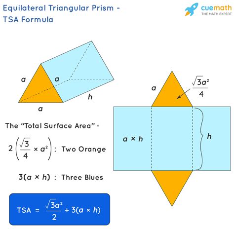 Surface Area of an Equilateral Prism – Formula, Definition, Examples ...