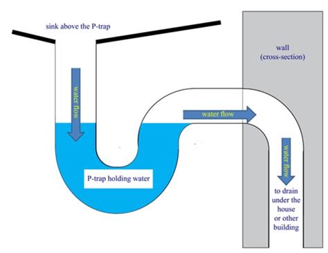 Sewer Smell In Tampa Your Bathroom? Find Out Why | Cass Plumbing