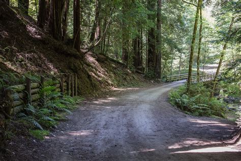 Aptos Creek Trail | Sandip Bhattacharya | Flickr