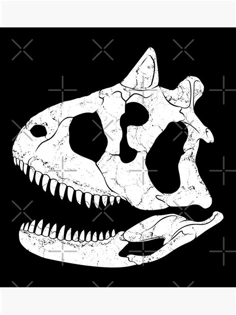 "Carnotaurus fossil skull" Poster for Sale by NicGrayGraphic | Redbubble