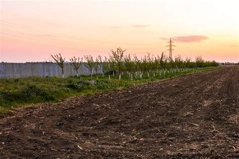 Countryside Farming Land. Land Prepared for Farming Stock Image - Image ...