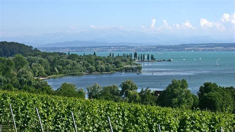 Natur und Kultur entdecken: Die Top-Ausflugsziele am Bodensee - n-tv.de