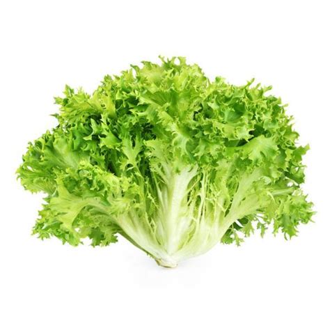 Lettuce - Endive - curly frisée (each) - Heddens of Woodtown Farm